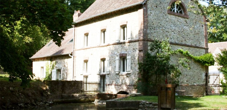 Media Image