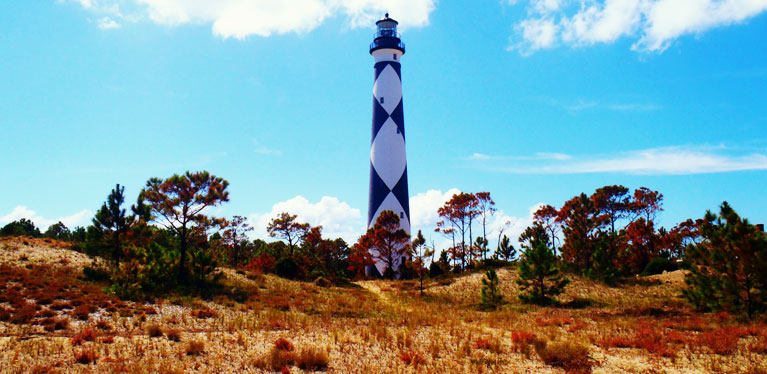 Media Image